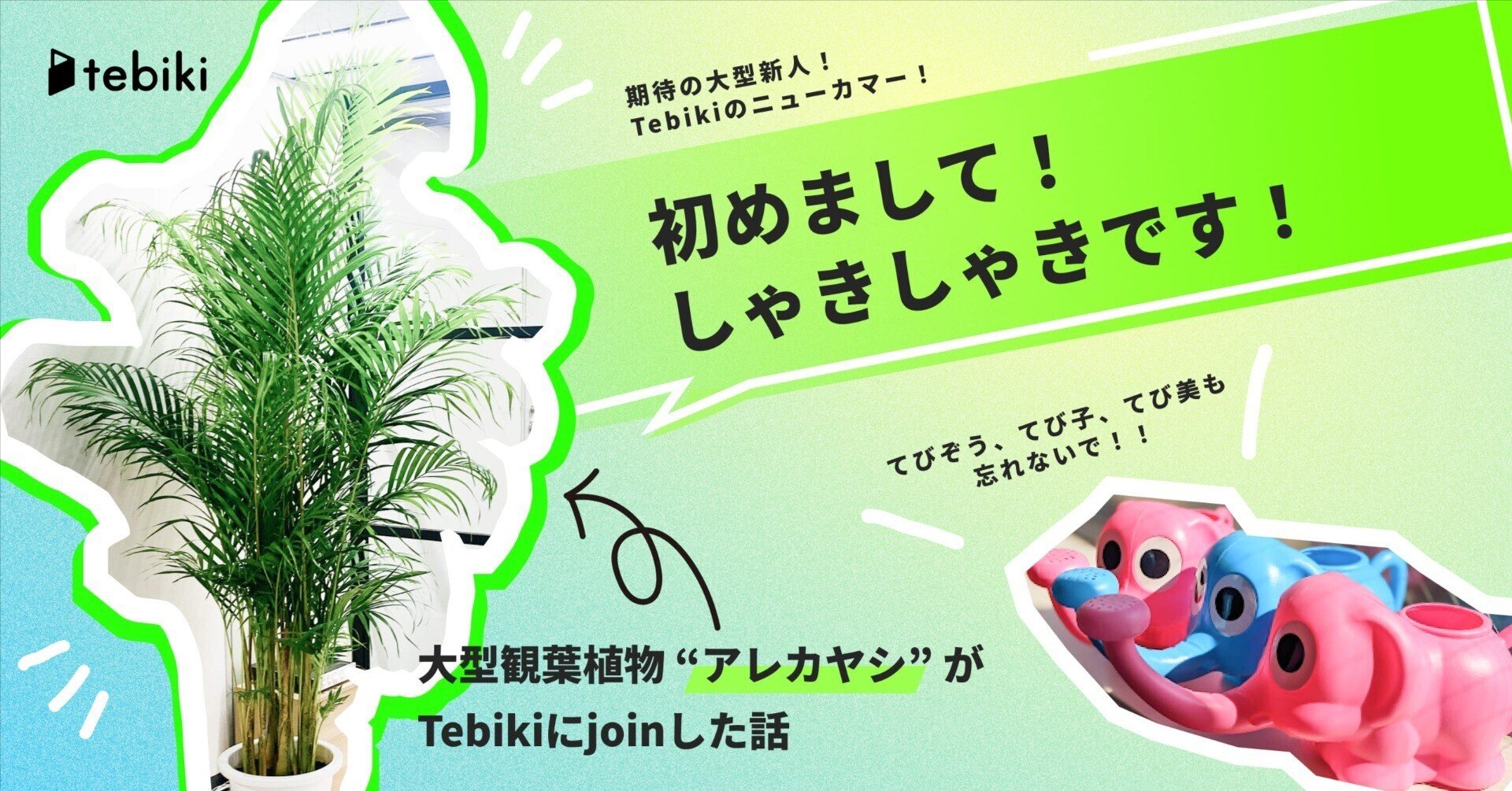 入社エントリ 】大型観葉植物 “アレカヤシ” がTebikiにjoinした話 入社エントリ 】大型観葉植物 “アレカヤシ” がTebikiにjoinした話