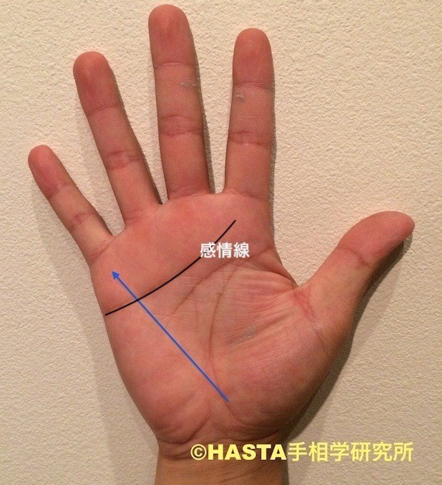 手相学の真意 手相占いが当たらない 手相学研究家 寺島みさお Note