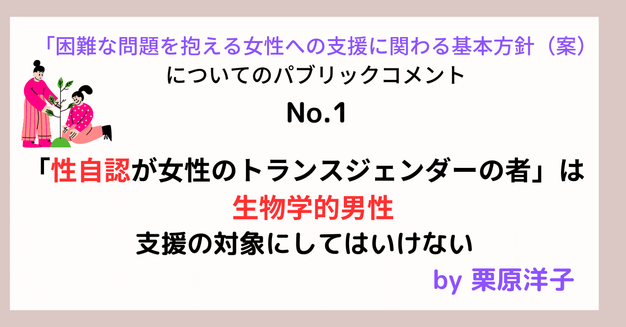 困難な問題を抱える女性への支援に関わる基本方針(案)へのパブリックコメント