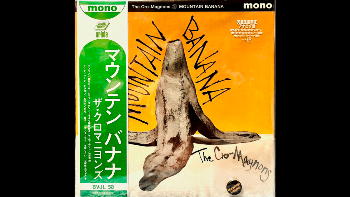 ザ・クロマニヨンズ レコード MOUNTAIN BANANA ザ・クロマニヨンズ『MOUNTAIN BANANA 2023』ライブ盤 アナログ