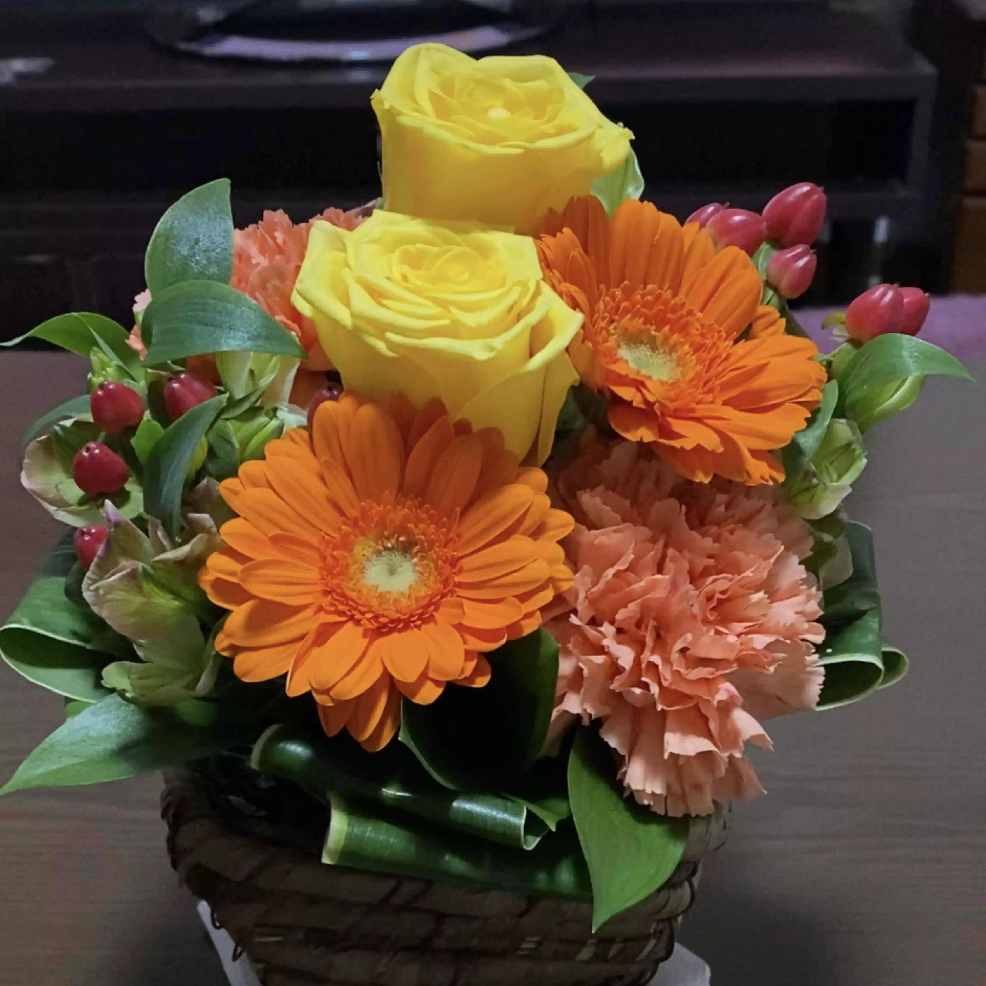 happy_moraea571