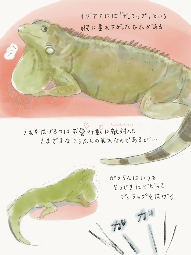 爬虫類イラスト の新着タグ記事一覧 Note つくる つながる とどける