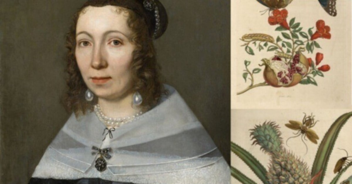 マリア・ジビーラ・メーリアンの植物・昆虫画の世界|artoday マリア・ジビーラ・メーリアンの植物・昆虫画の世界|artoday