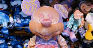 WDW(ウォルトディズニーワールド) 現地から日本の自宅へお土産を WDW(ウォルトディズニーワールド) 現地から日本の自宅へお土産を