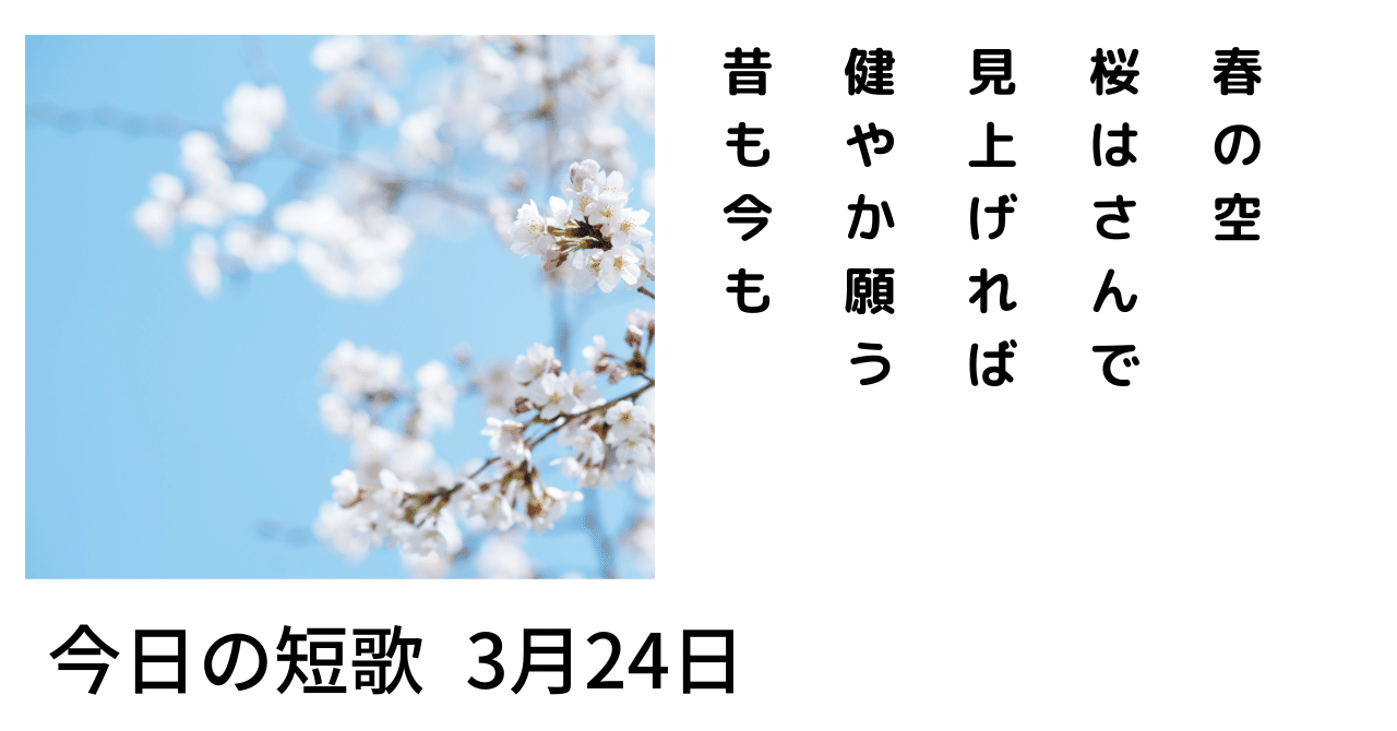 ♡三月桜ページ♡ 桜越しの柔らかな空｜秋月 めぐみ