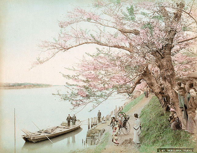 墨水桜花輝耀の景』高橋由一、1874年|kaniko 墨水桜花輝耀の景』高橋由一、1874年|kaniko