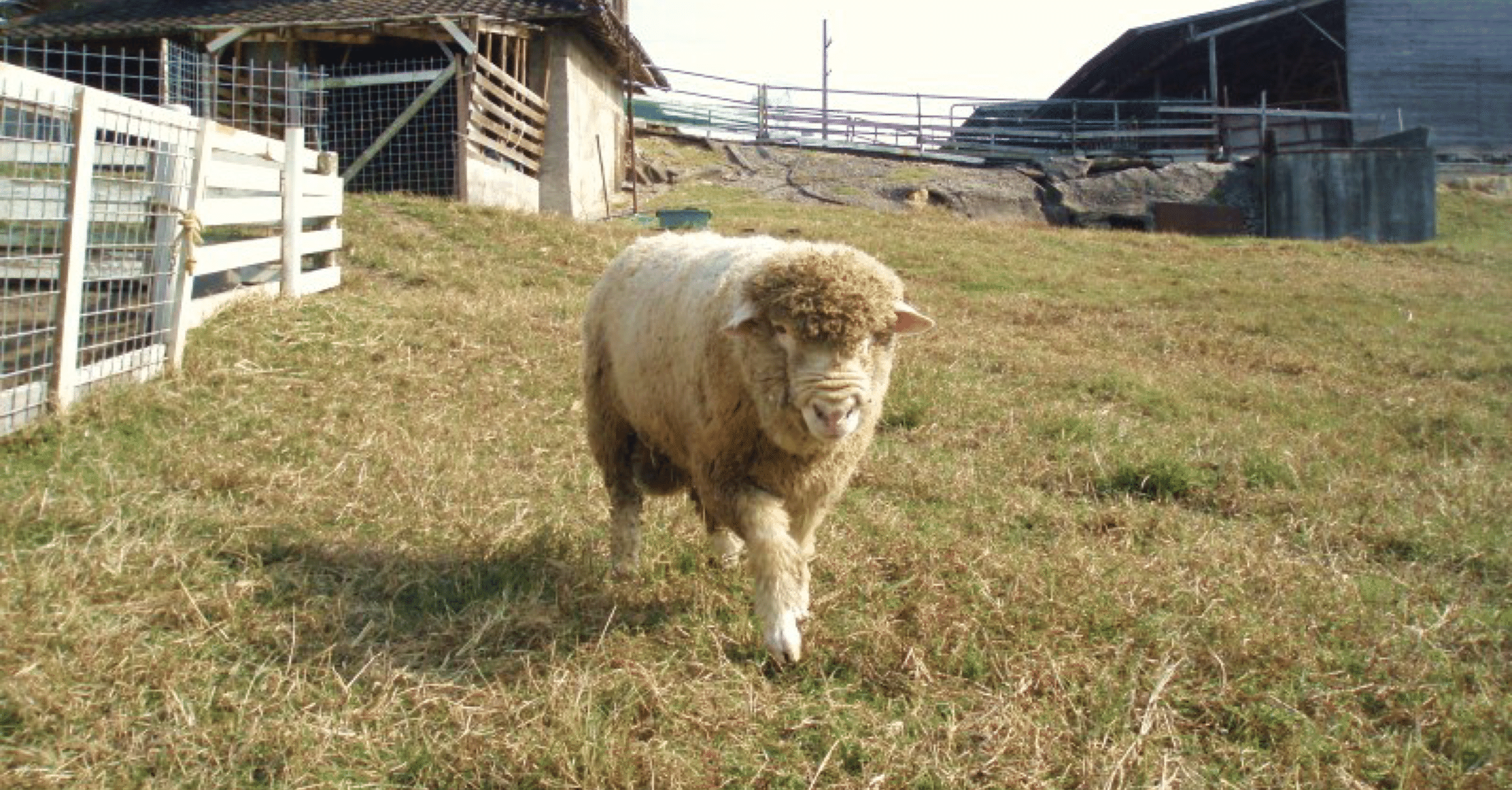 54f9677176ad3360aa903736fc936d