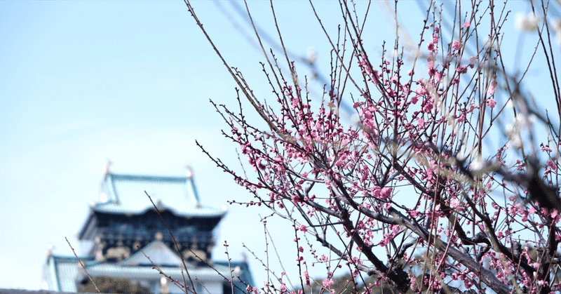 応用物理学コース学位授与式（修士）【卒業おめでとうございます】🎉