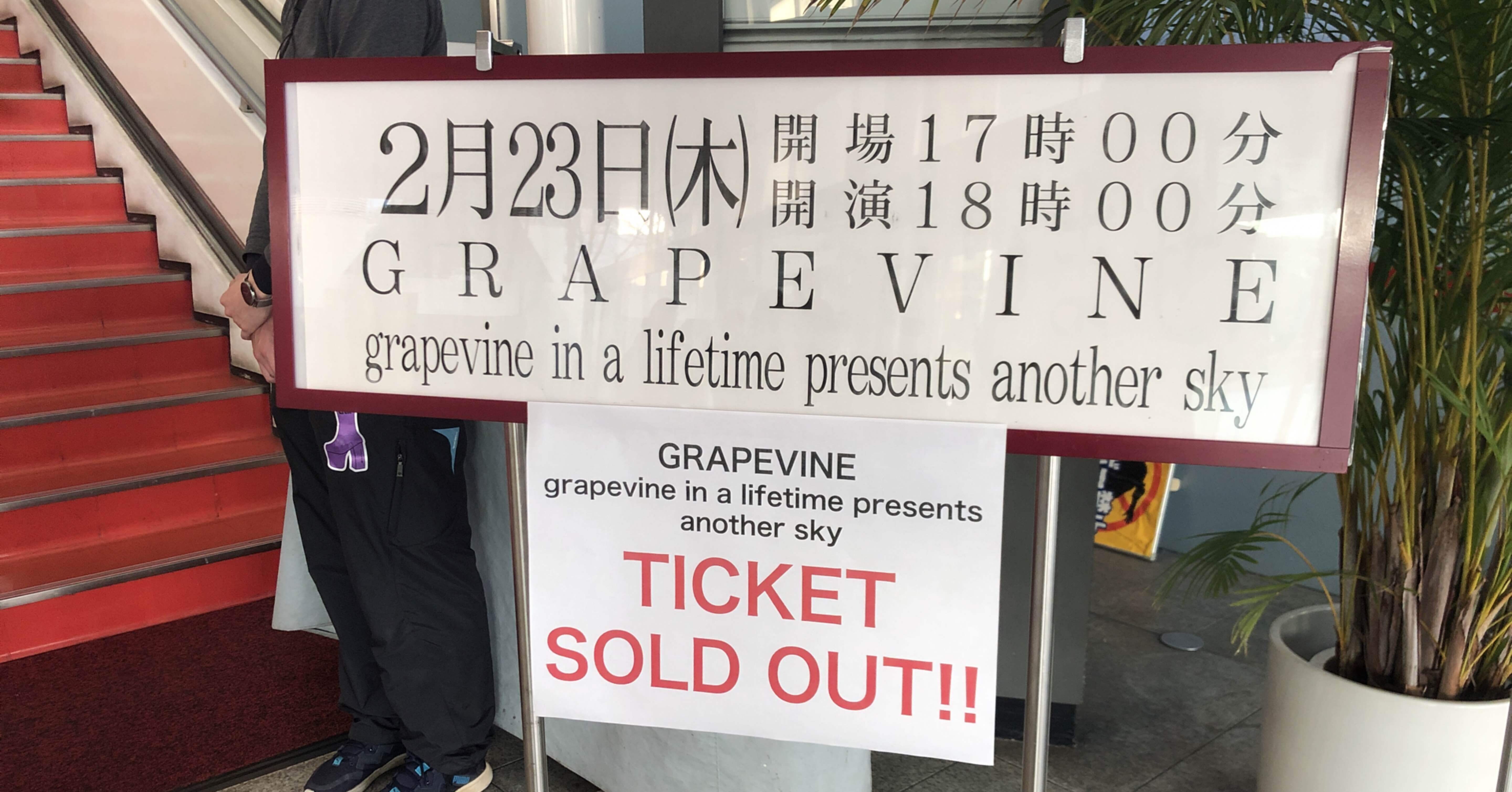 GRAPEVINEを続けてくれてありがとう。｜tomo⭐︎