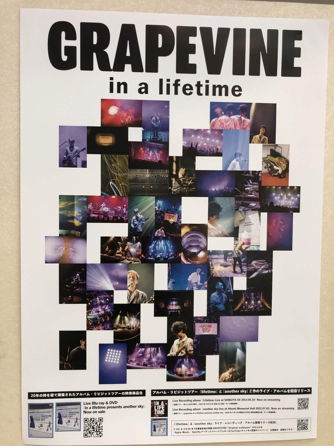 GRAPEVINEを続けてくれてありがとう。｜tomo⭐︎