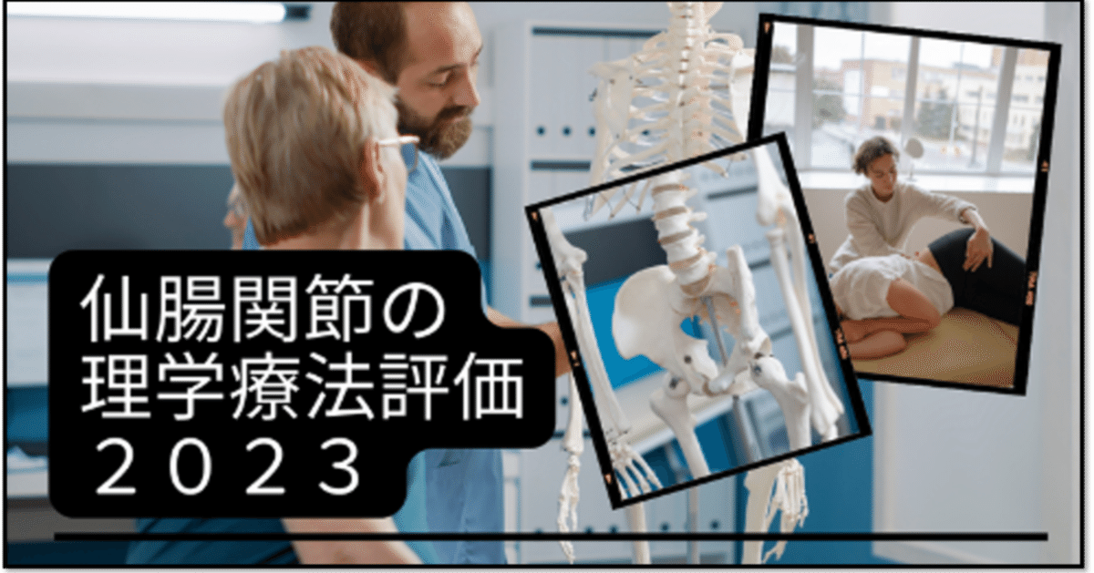 仙腸関節の理学療法評価2023【サブスク】｜理学療法士による臨床