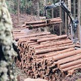 浮羽森林組合｜福岡県うきは市および久留米市の森林管理