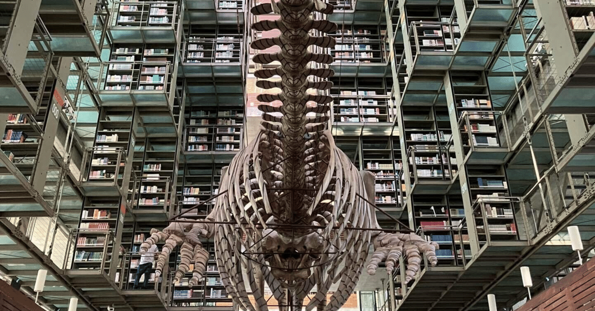163 【旅行】まるで現代アート！一度は行きたい空中図書館