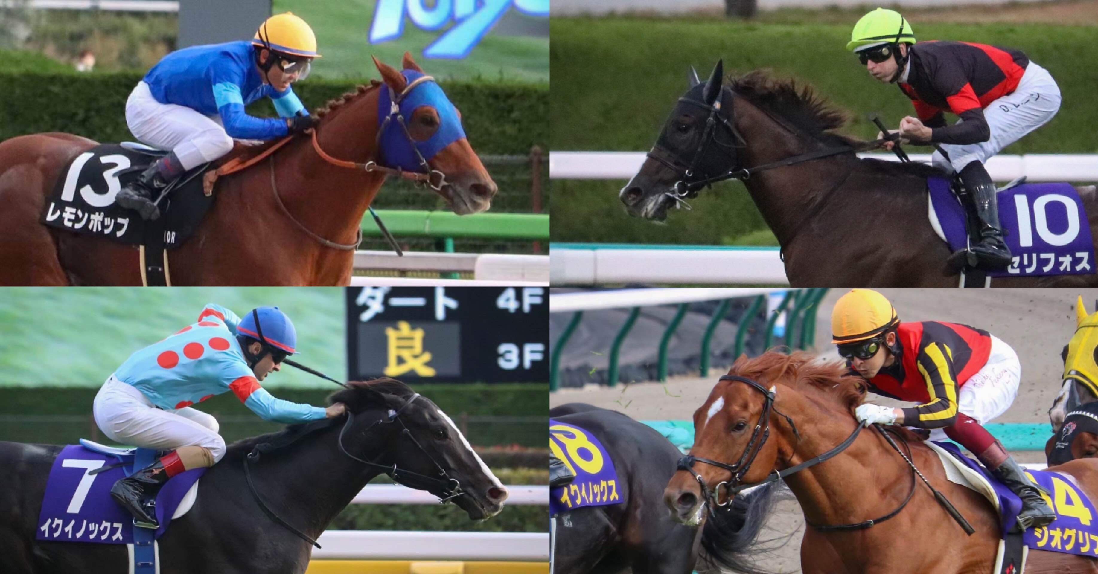 ドバイワールドカップデー大特集｜タイガーマスク G