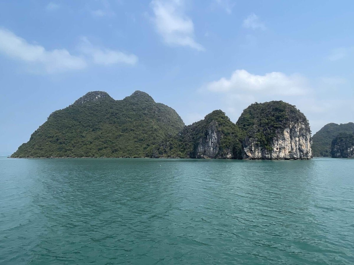 40ドルの価値｜コージー