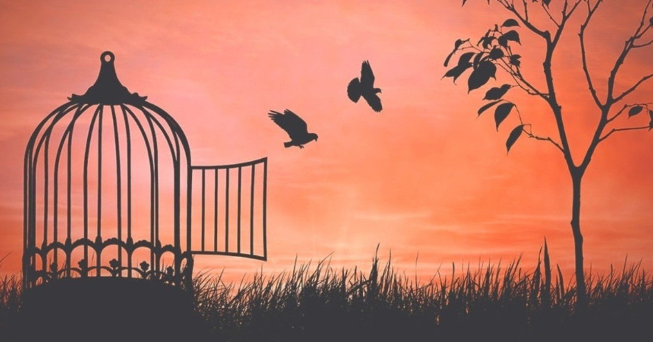 自由を手にいれた籠の鳥 くじらの付箋 日記 Note