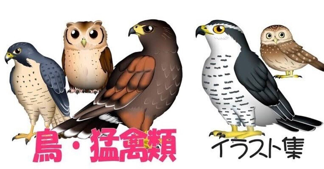 ユ*カ様 鷹 イーグル 鳥 猛禽類 残響 緑 原画 (2024年11月) Penguin - 𝐋𝐚𝐫𝐠𝐞 𝐇𝐚𝐰𝐤-𝐂𝐮𝐜𝐤𝐨𝐨 大鹰鹃 