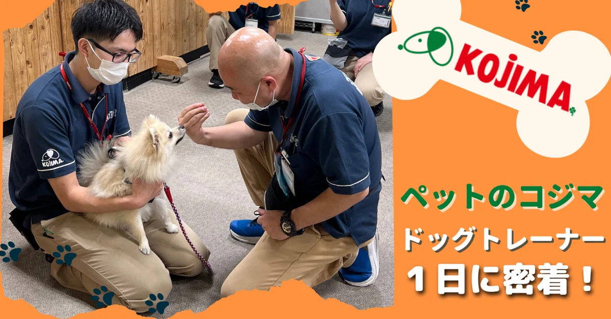 コジマのお仕事紹介＞ドッグトレーナーの1日に密着！｜ペットの専門店 
