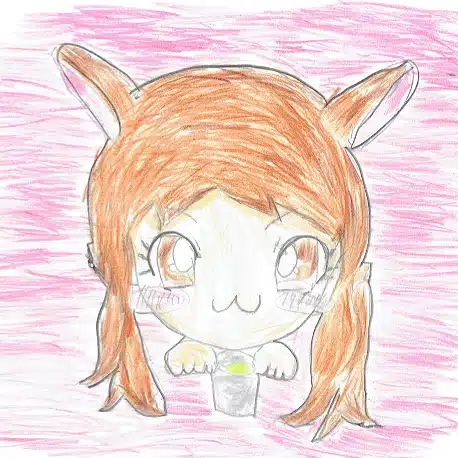 tomo茶