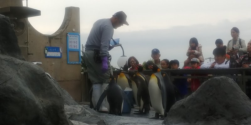 あの娘 僕がはじめての 北海道旅行 に出たら どうでしょう 4 ミチ姉さん Note