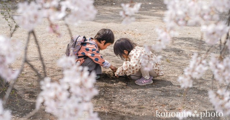 【高崎市】しだれ桜の慈眼寺で満開の桜を楽しむ。