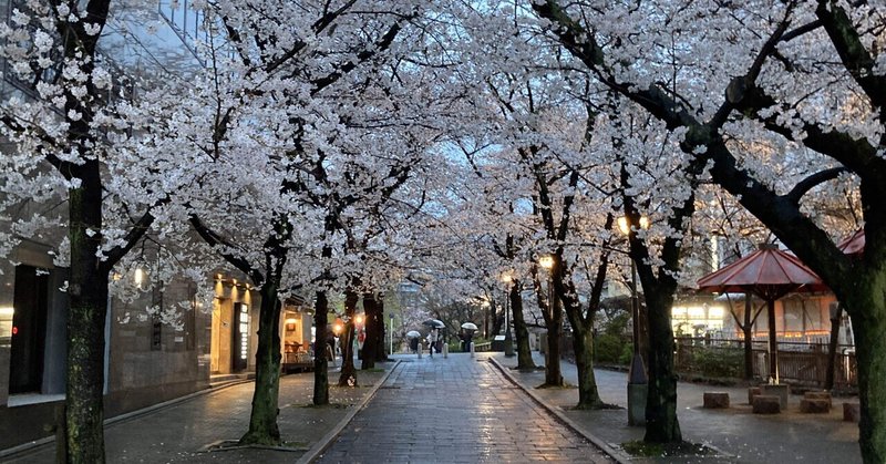 祇園ツアー、Z世代からのするどい質問