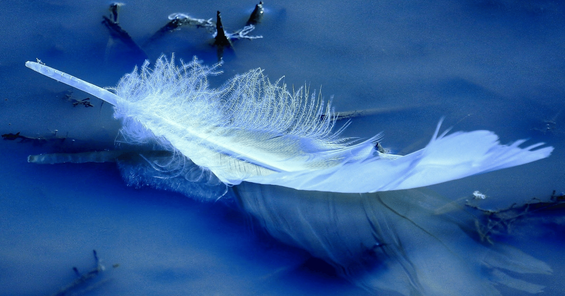 龍騎】第21話～第30話+劇場版｜望戸