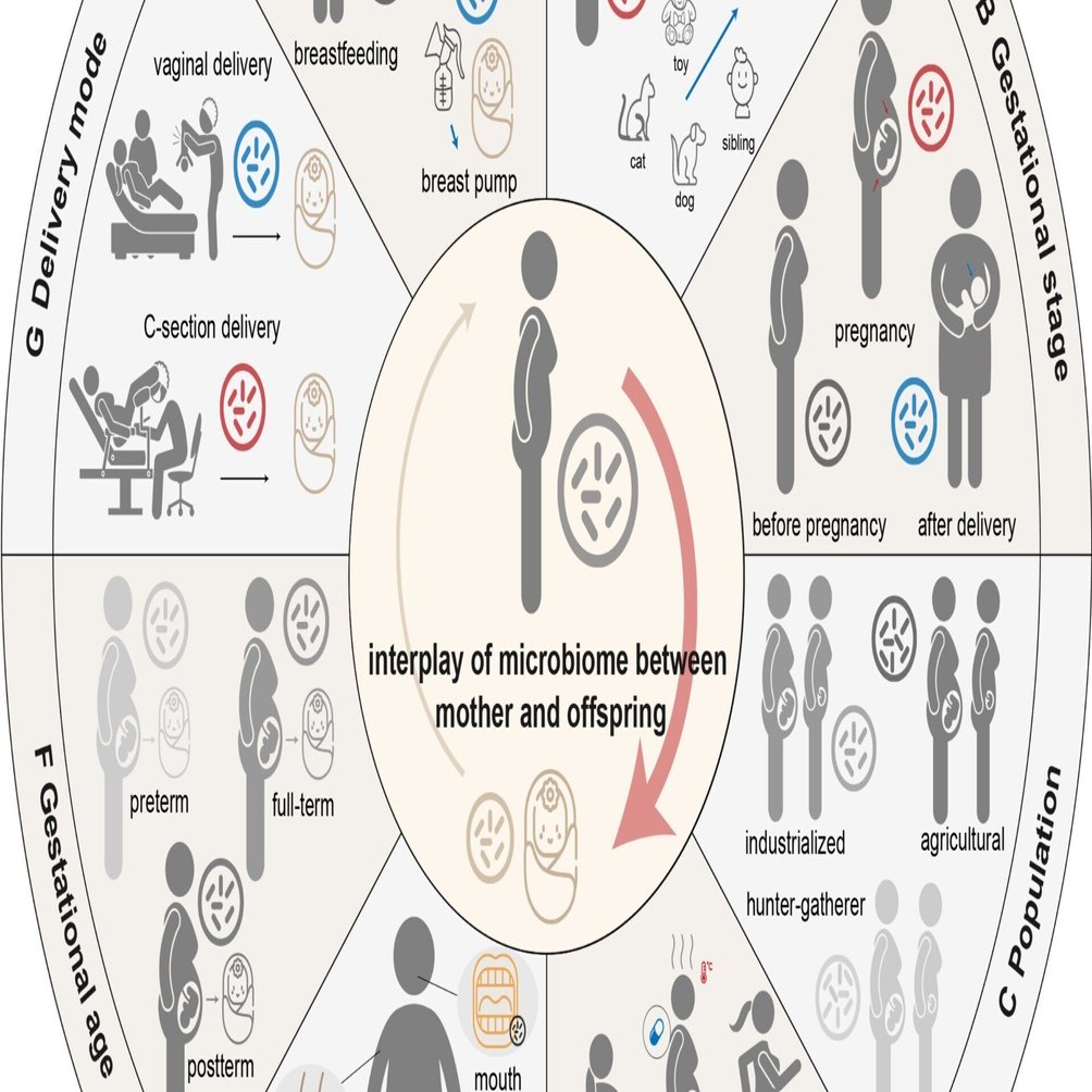 微生物感染、コロニー形成、継承：妊娠から乳幼児期まで｜ヤオナ