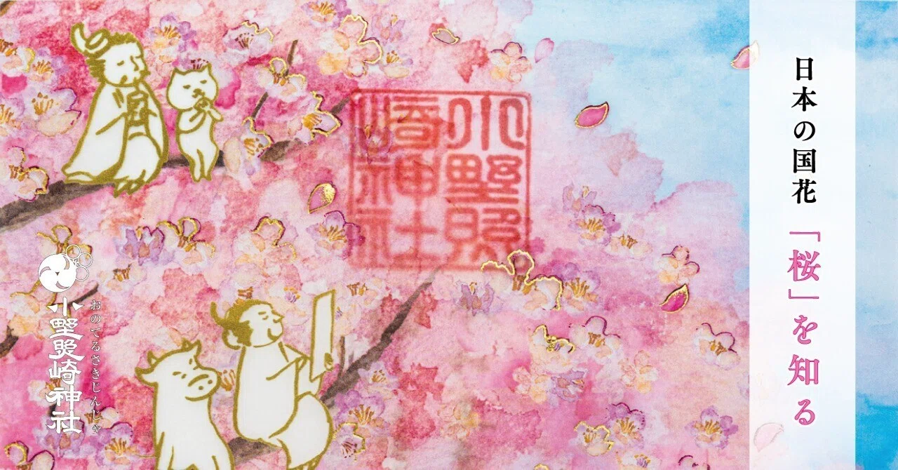日本の国花「桜」を知る🌸｜小野照崎神社