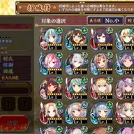 遊戯王OCG デュエルモンスターズ デュエリストカードプロテクター