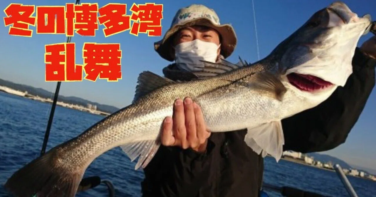 晩秋、初冬の博多湾ボートシーバス備忘録🐟 ビッグベイトベイト乱舞