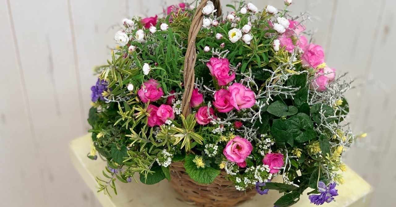 プランツ ギャザリングについて オゼジュン先生 園芸youtuberお花の楽しさをお伝えする花創人はなそうにん Note