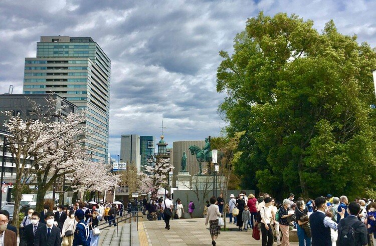 iPhoneSE(初代)で撮影。武道館で大学の卒業式をやっていました。桜も満開でした。