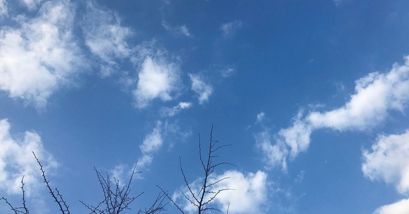 20190222空