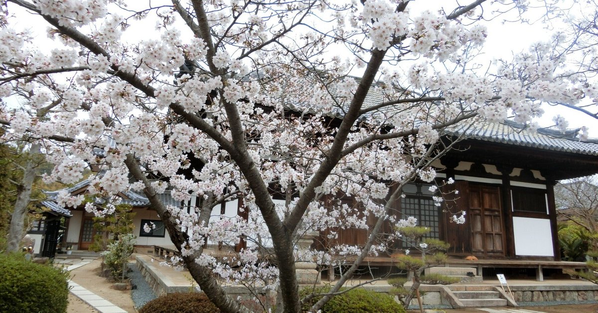 釘無し本堂は国宝「孝恩寺」重文だらけの平安仏は圧巻【大阪泉州