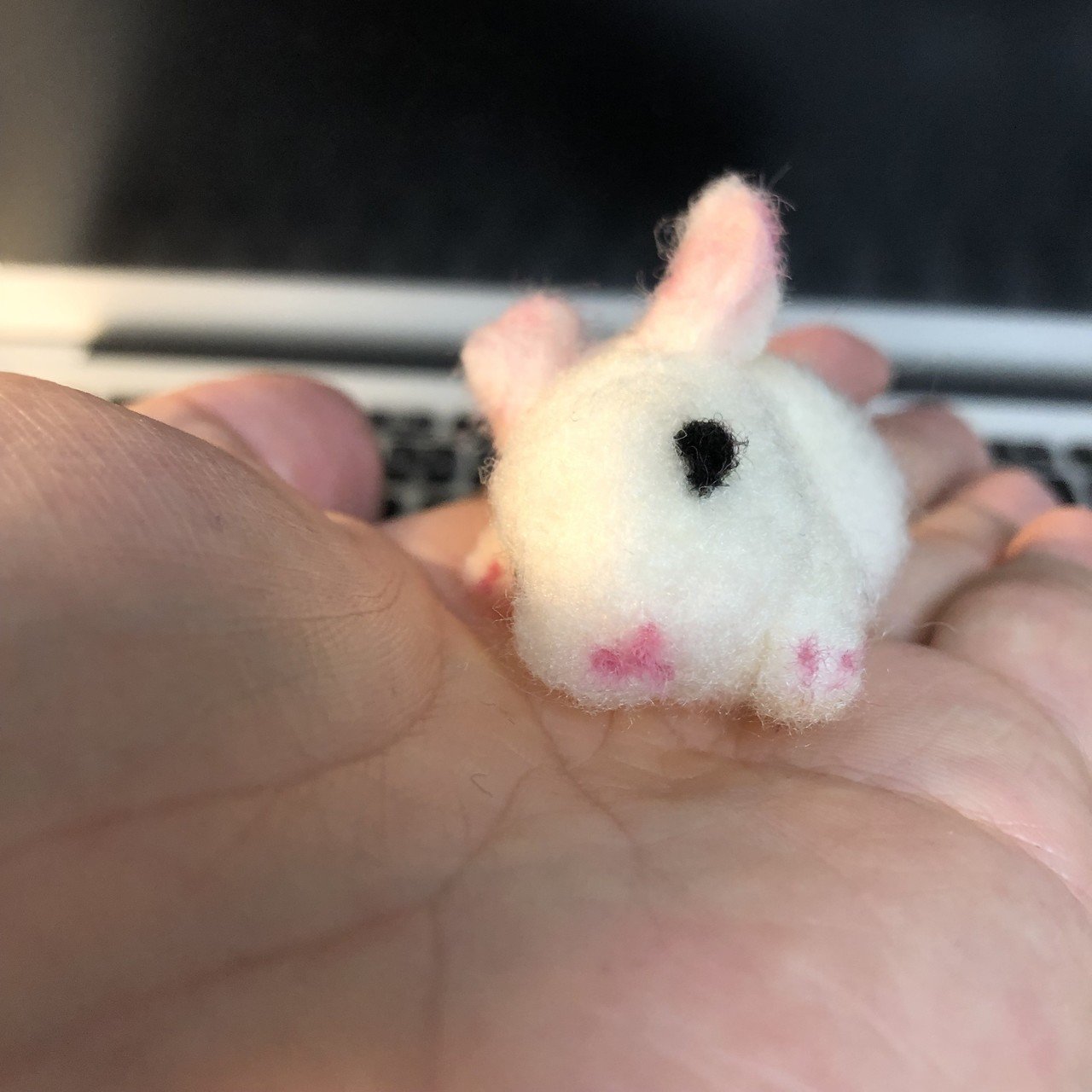 ぼへーとする白い子ウサギ Angelrabbits Note