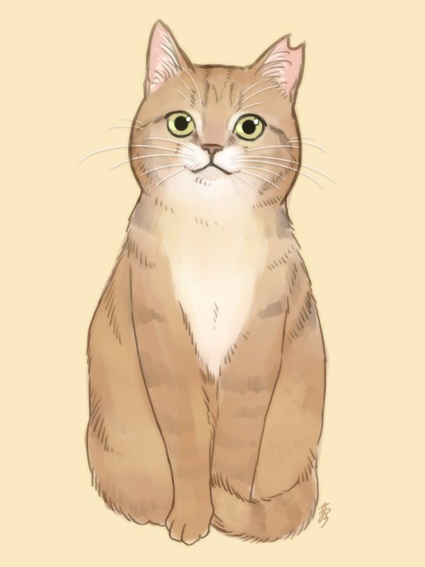 イラスト 猫絵 市乃 Note