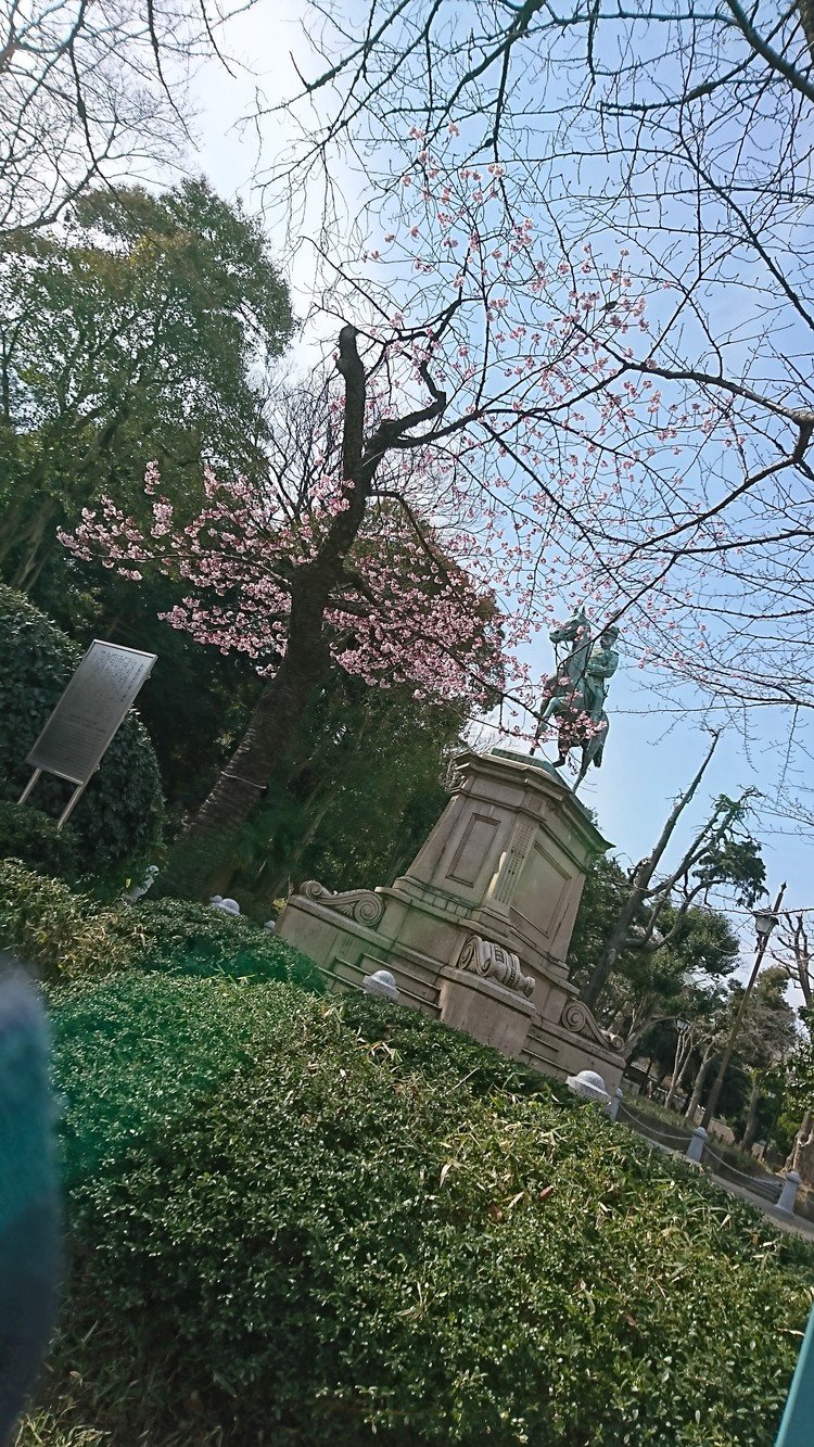 上野公園に春が来ました！