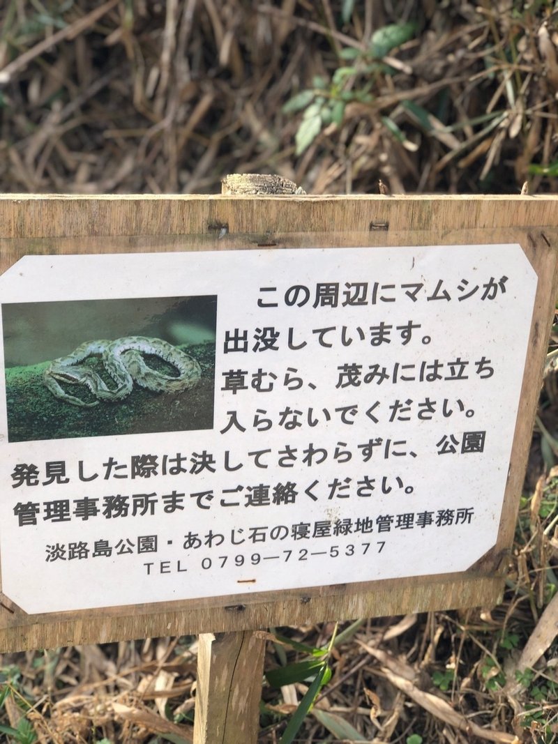 知識ゼロからふきのとう採取の旅へ 佐々木邦明 Drone Note 知識ゼロからふきのとう採取の旅へ 佐々木邦明 Drone Note