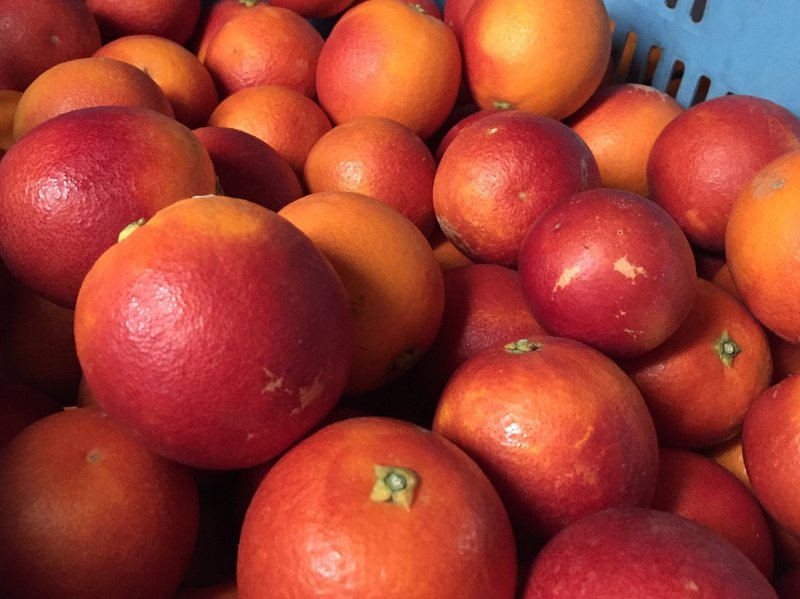 もっと広めたい 国産ブラッドオレンジ おがたきりこ 旅するフリーライター Note