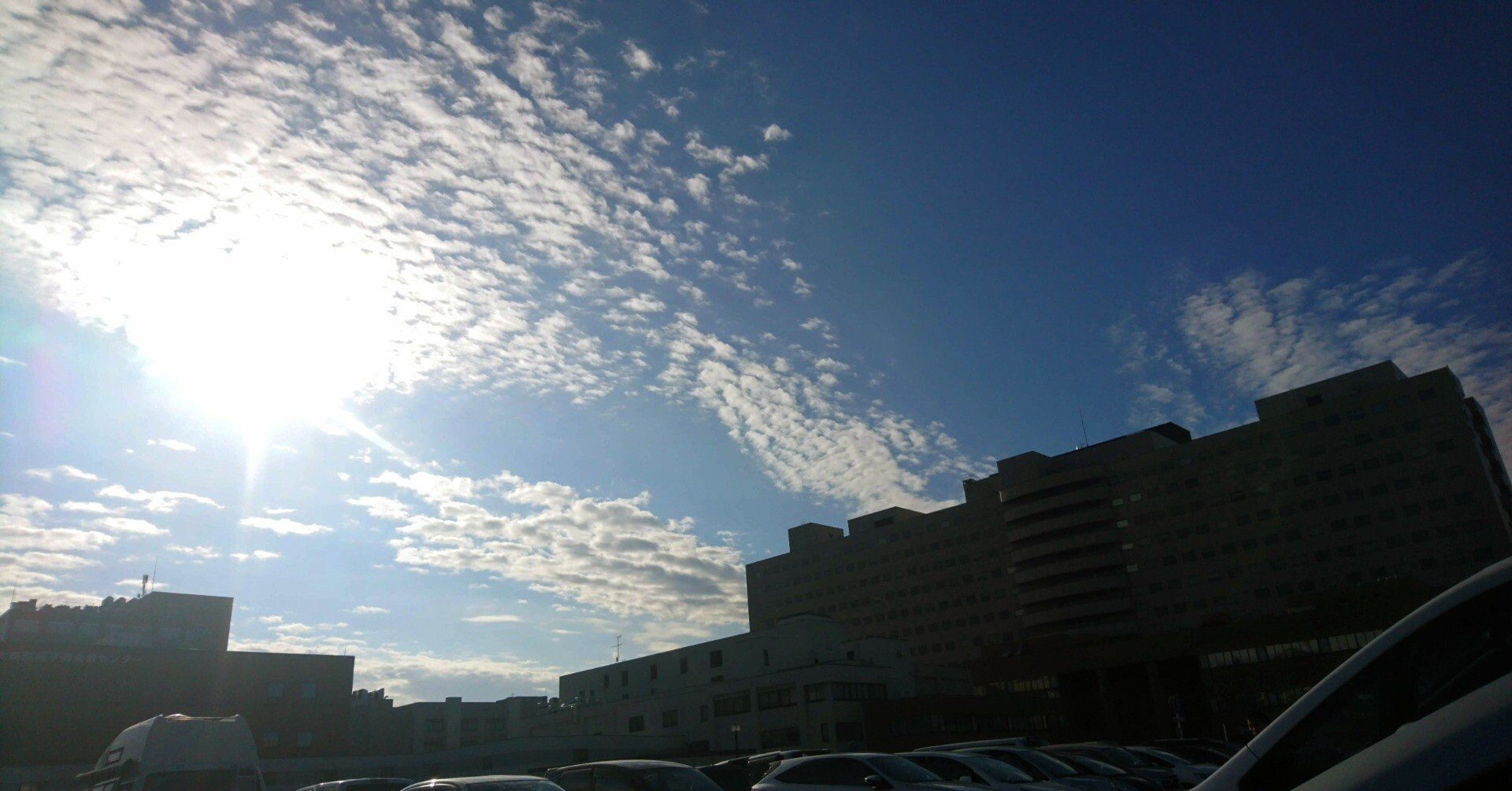 君は OFFICE CUE を知っているか ～飛ばねぇ豚はただの豚～｜蛍諸 ちは