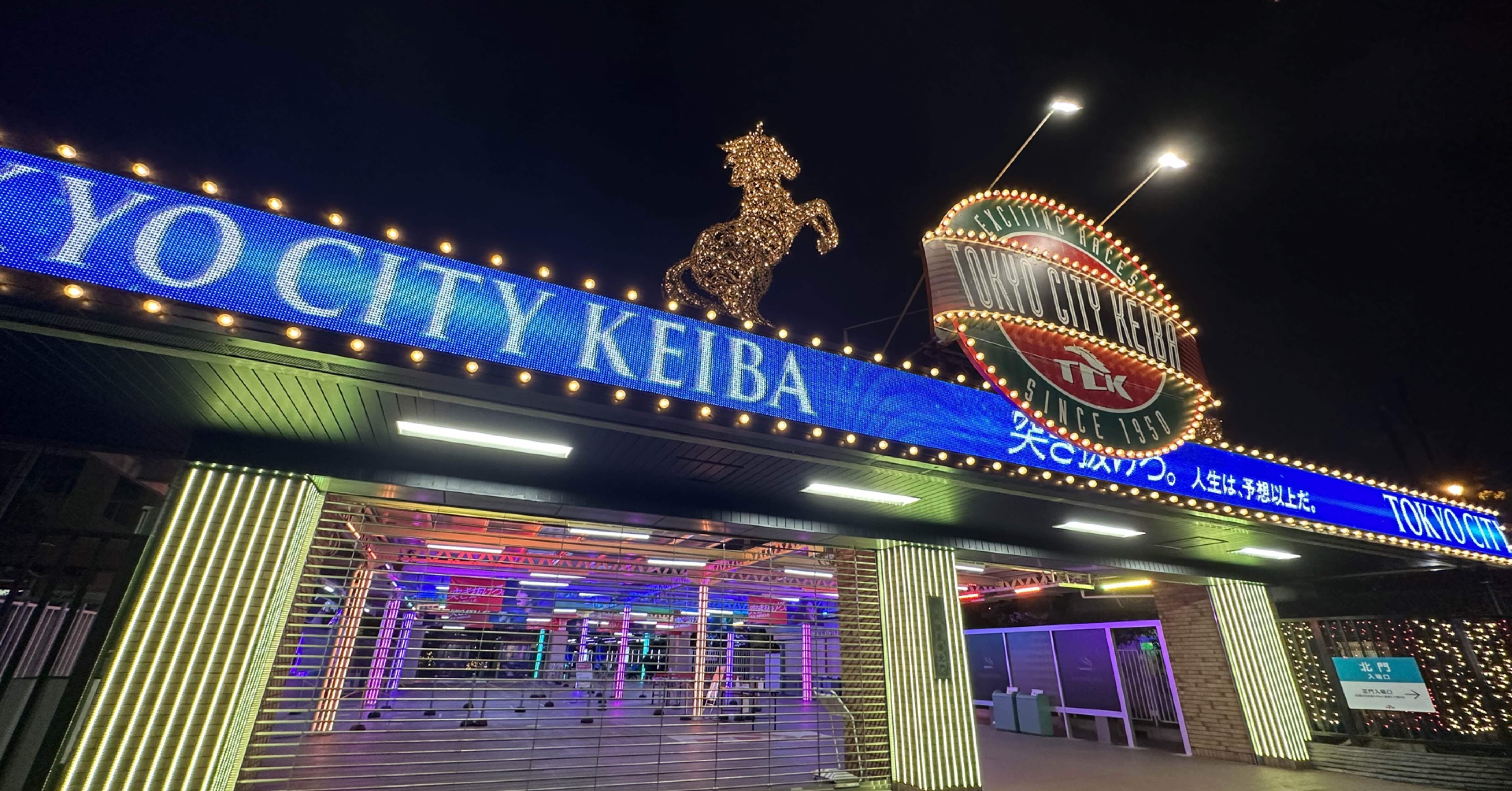 大井競馬　トゥインクル　35周年　レプリカ 馬券　セット　当選品 大井競馬 トゥインクル 35周年 レプリカ 馬券 セット 当選品