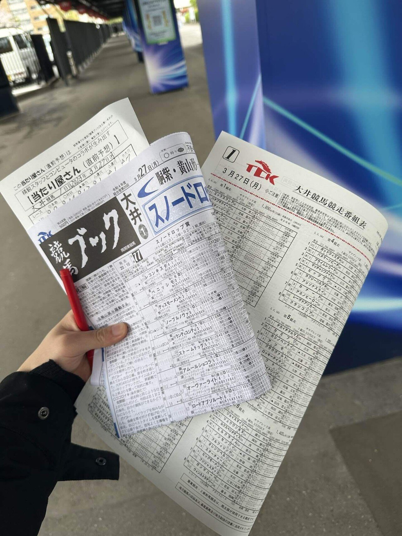 すこの競馬録〜トゥインクルレース開幕〜｜イコビー🪄team =+be!!