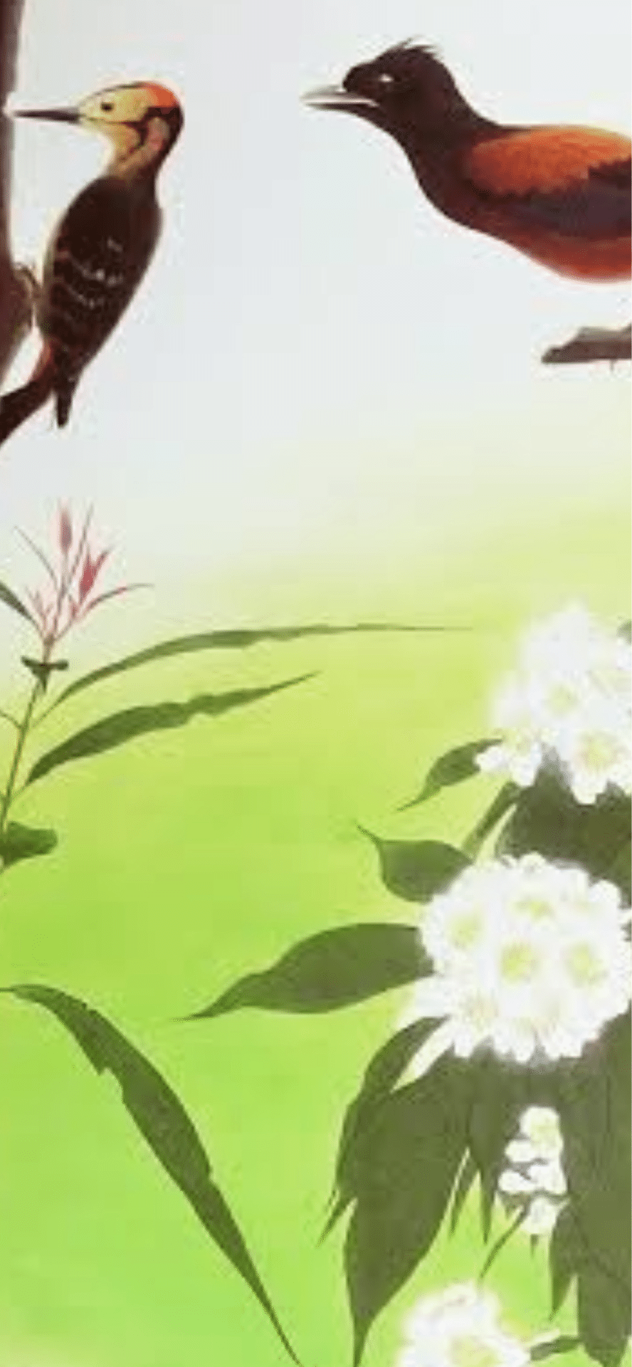 田中一村｜EGGSEED