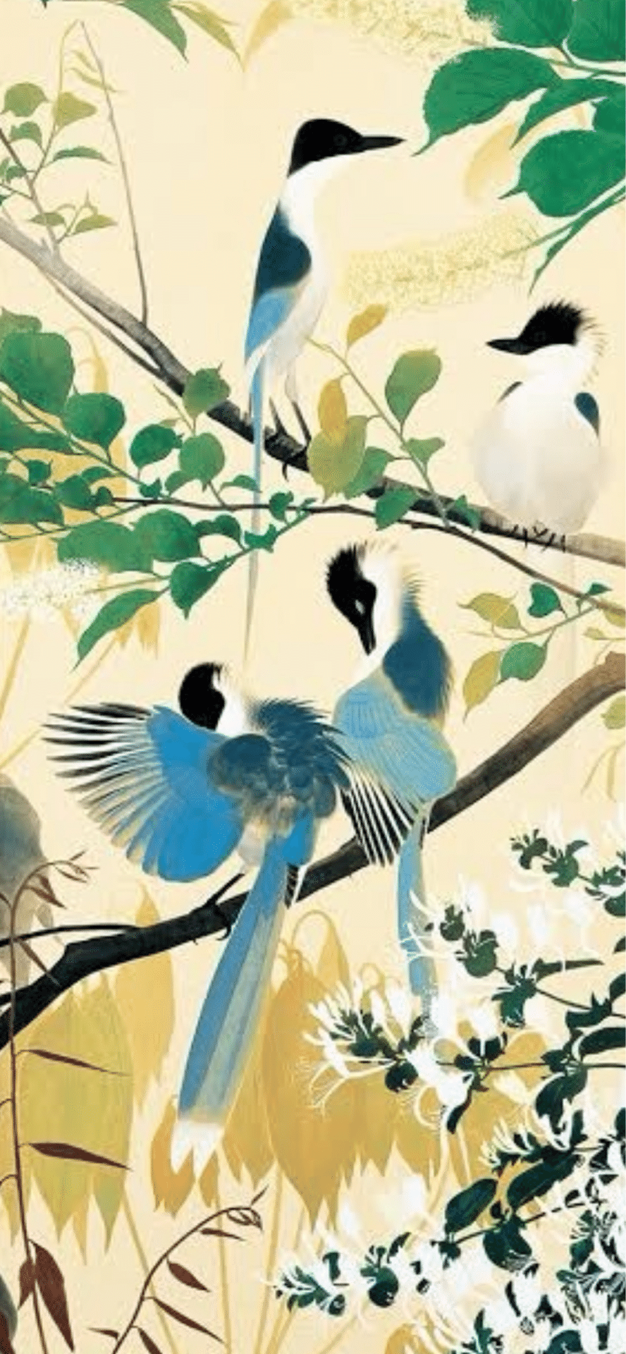 田中一村｜EGGSEED