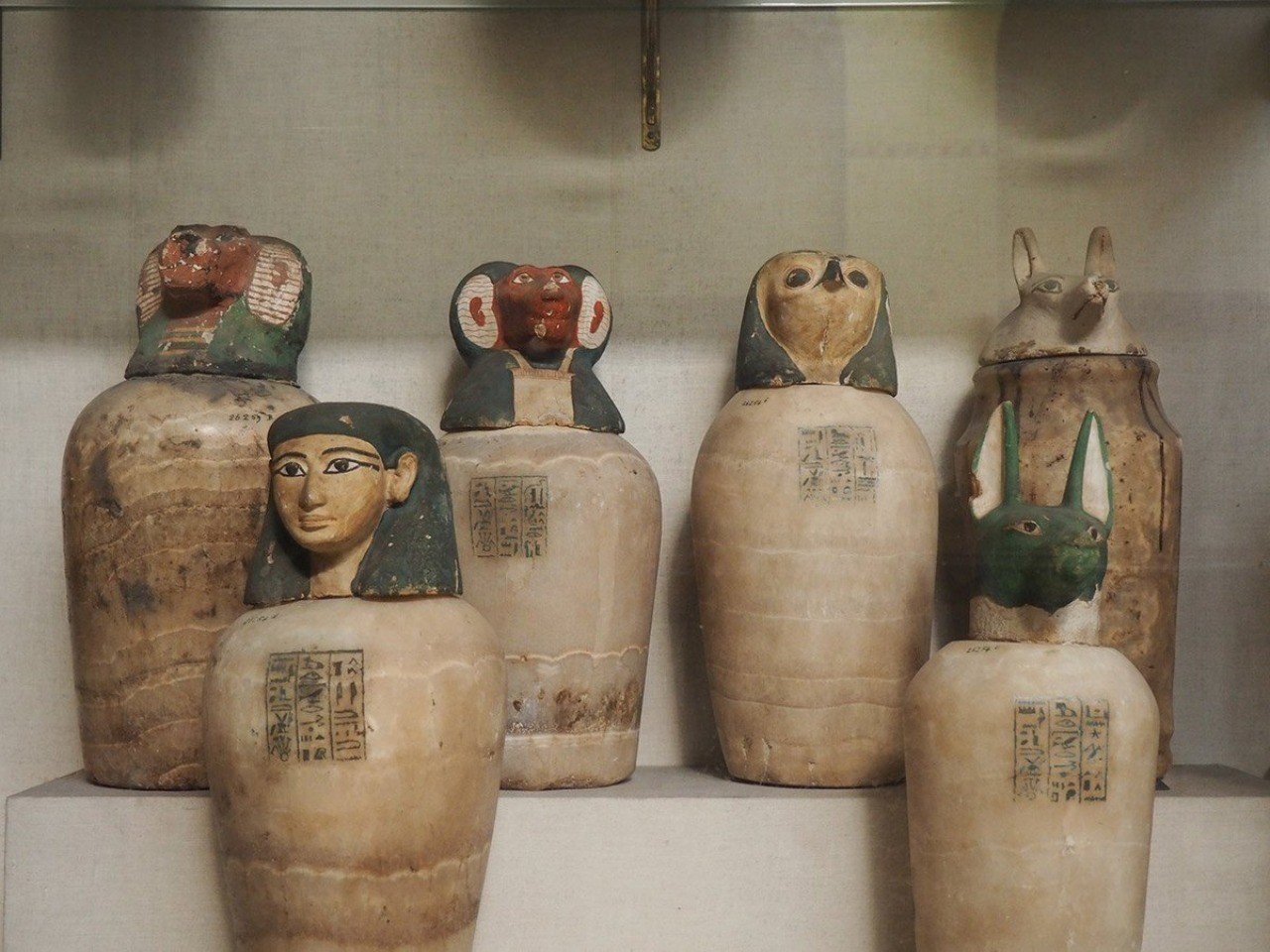 a5e5b6518ff64445f8cf260722db89