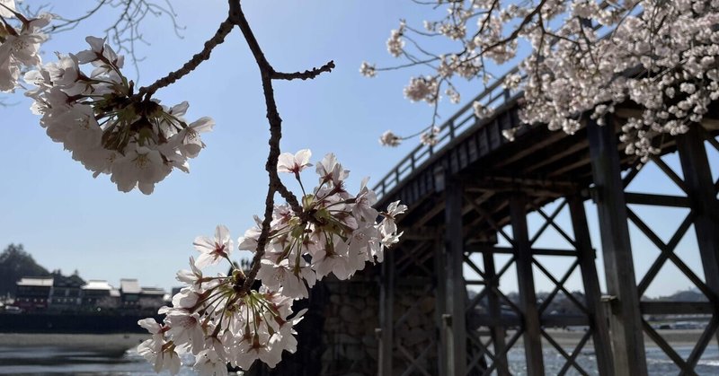 春　錦帯橋　《写真》