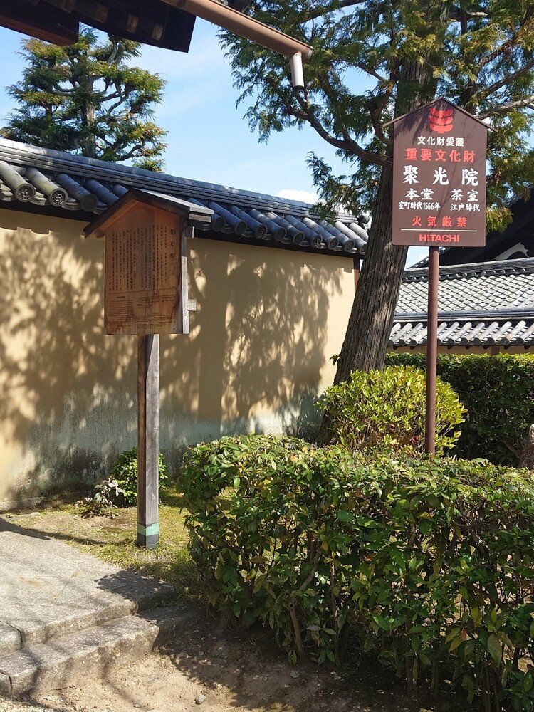 聚光院は、三好長慶の菩提寺。聚光院の名は、三好長慶の法号から付けられたそう。開祖、笑嶺宗訴和尚の弟子に、参禅していた利休も作庭に携わっている。本堂内の狩野永徳親子の水墨画は、国宝で、この日、特別展示でしたが、時間が合わず見損なってしまった。