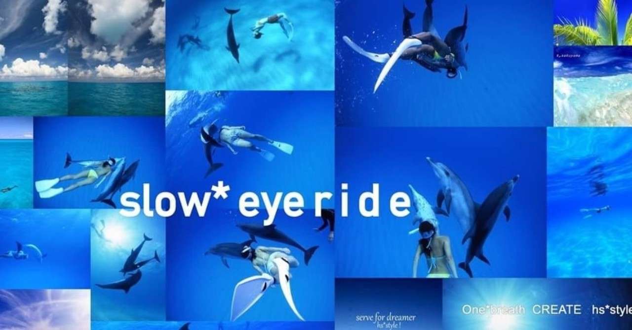 参加者の感想 イルカとクジラと泳いでみたい Onebreath