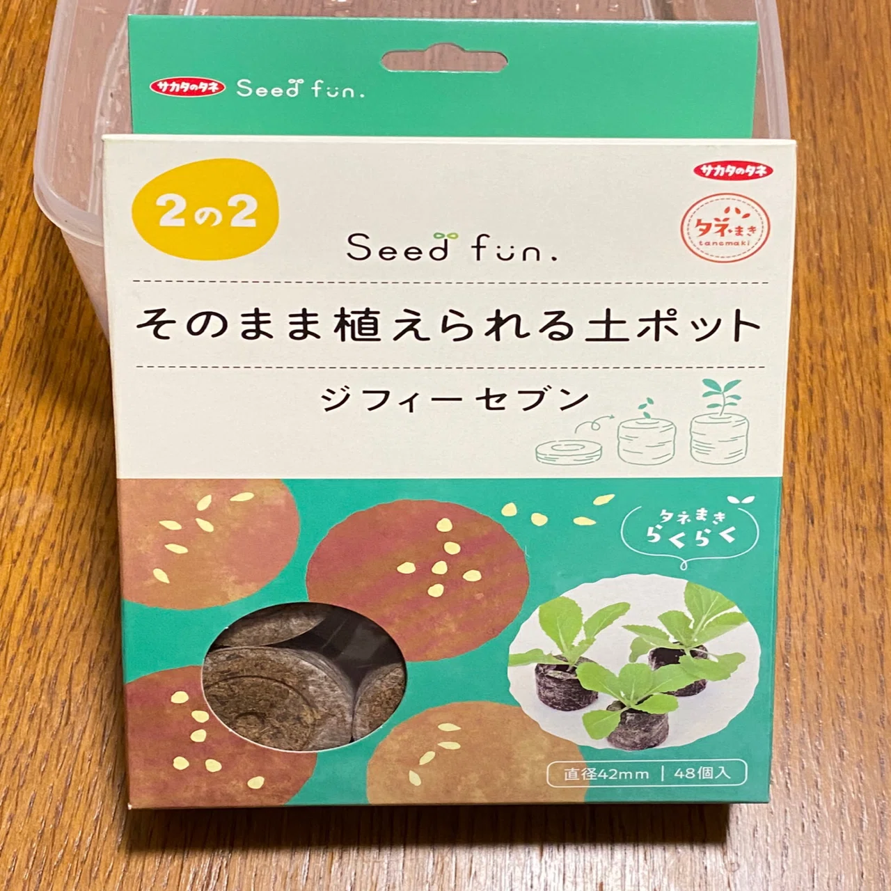 ビカクシダ 胞子11種 セット ビカクシダの胞子培養｜oyayubiplants